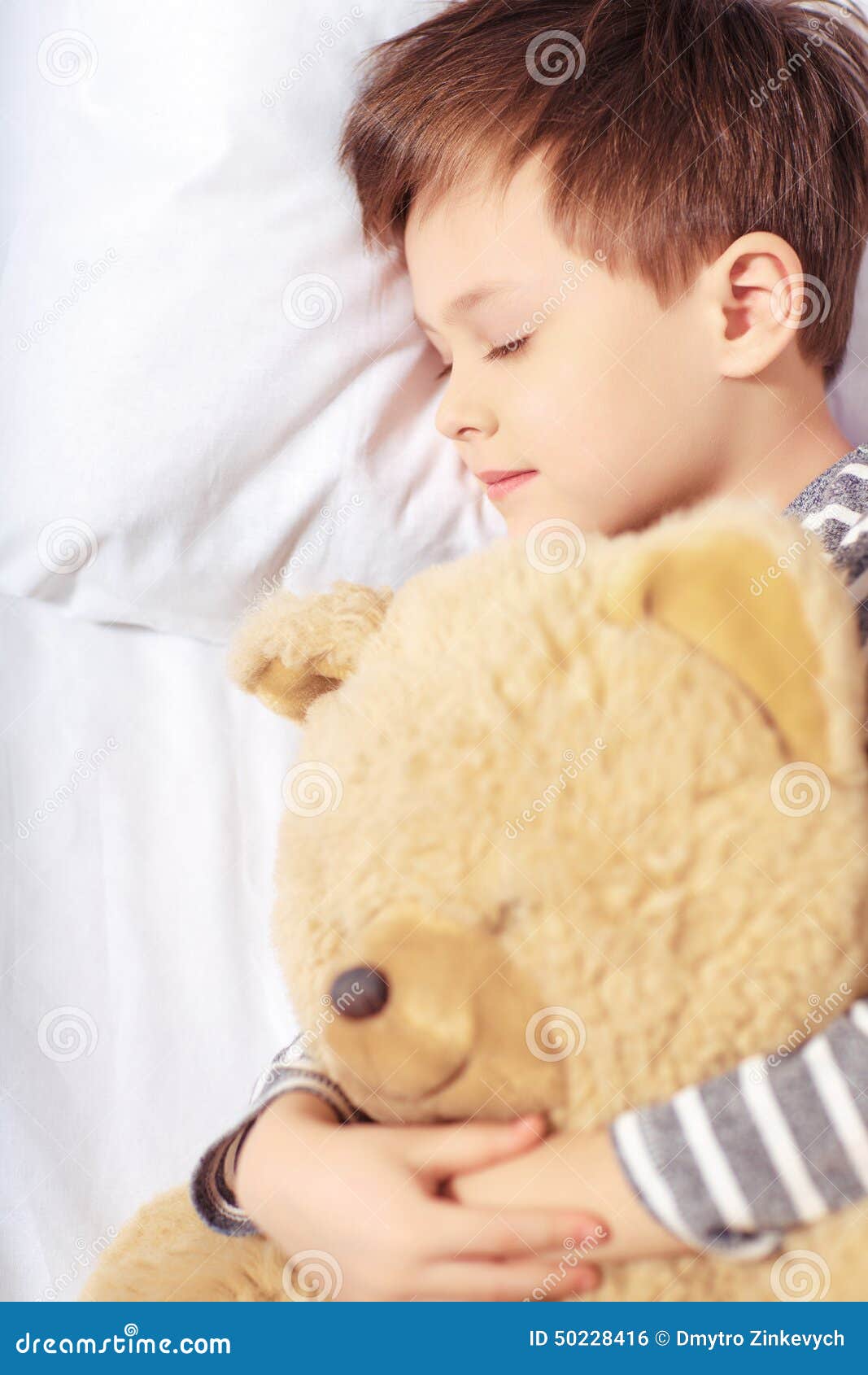 Portrait Of A Boy Sleeping With Teddy Bear Stock Photo Image Of Night