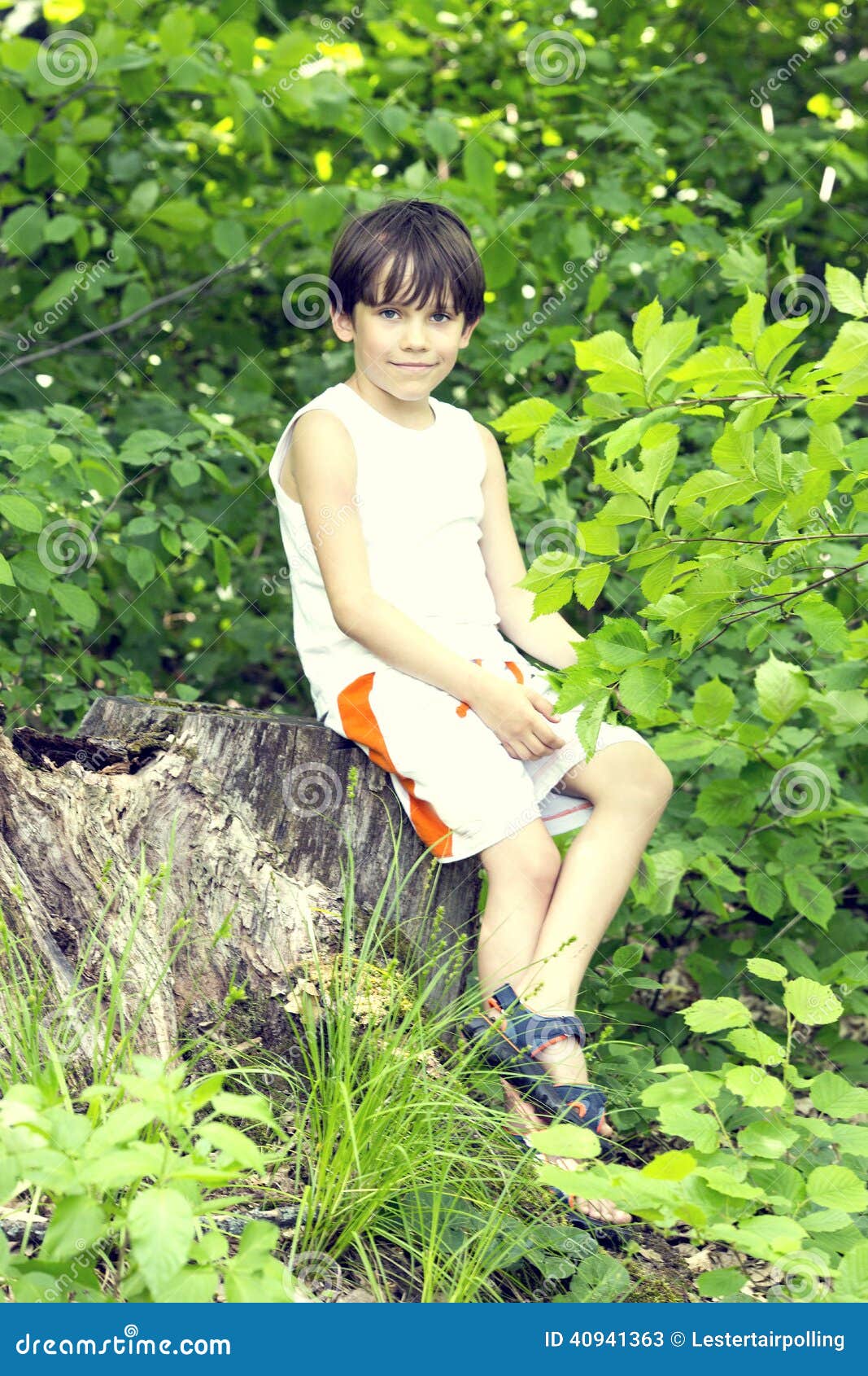 Portrait of a boy stock image. Image of childhood, nature - 40941363