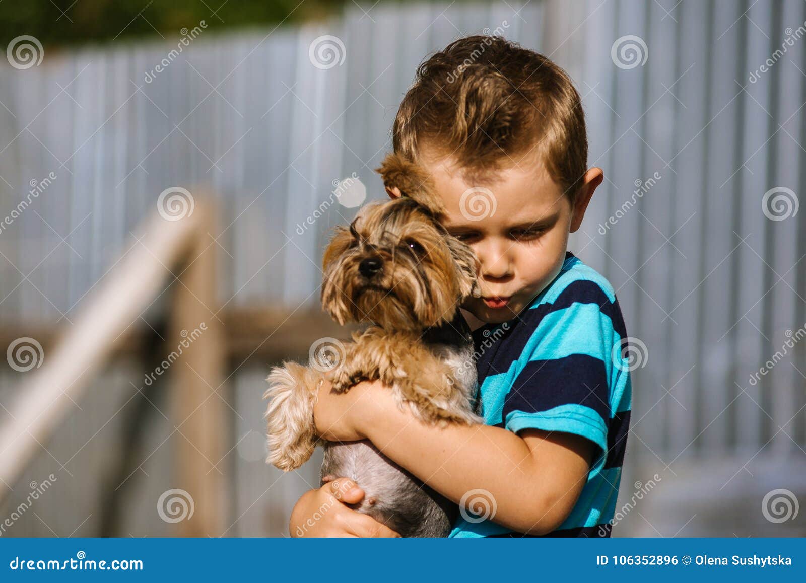 yorkshire terrier with kids