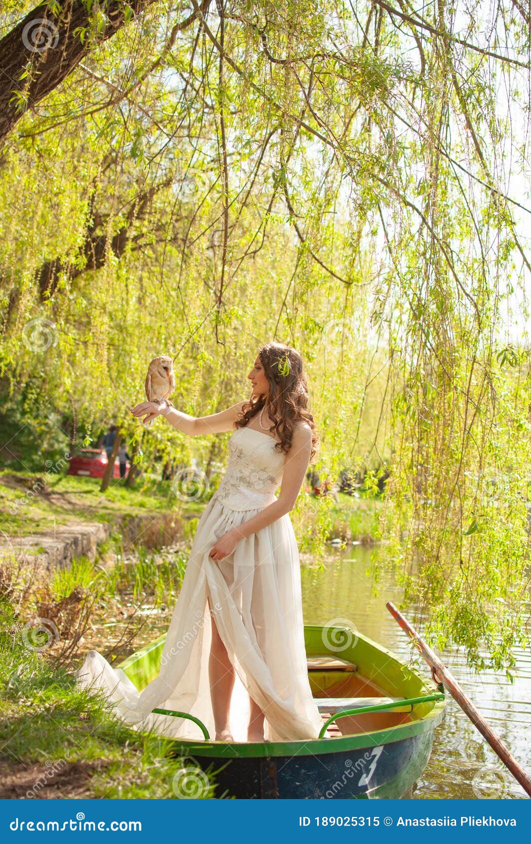 Portrait of Bride in White Wedding Dress with Barn Owl on Lake Stock ...