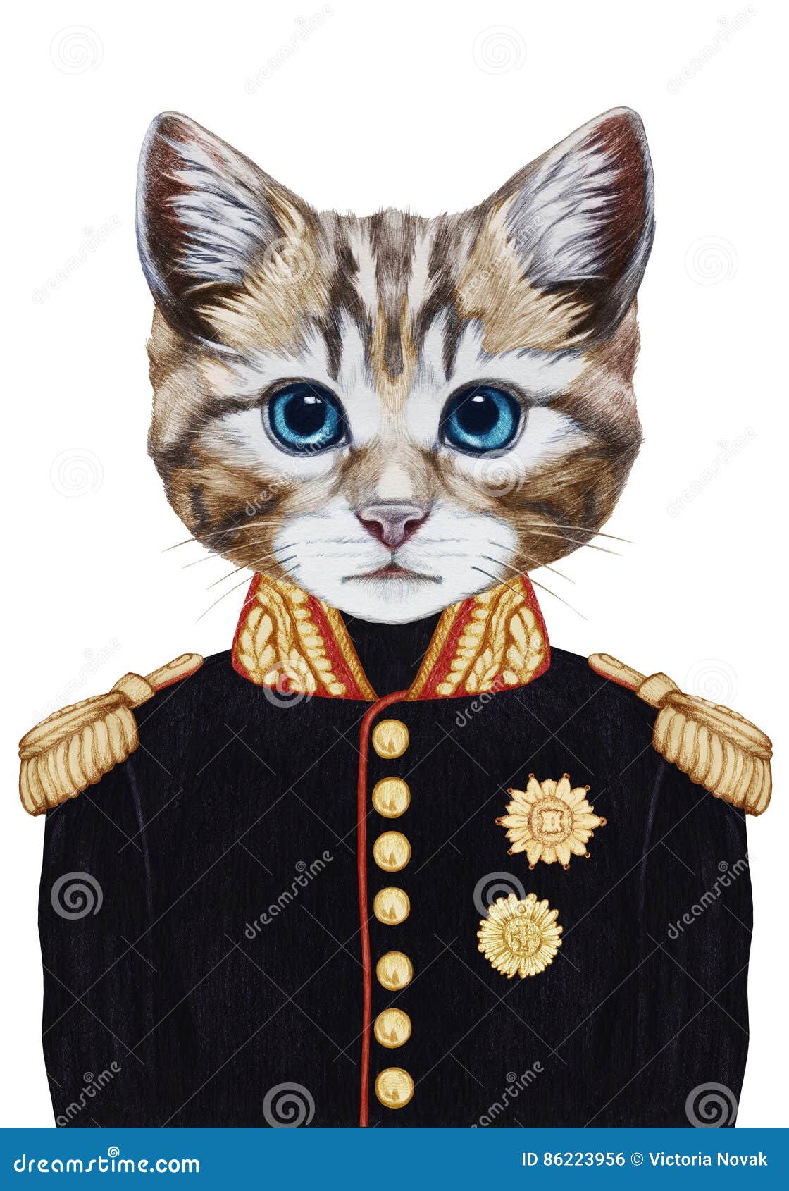 Portrait Of Cat  In Military  Uniform  Stock Illustration 