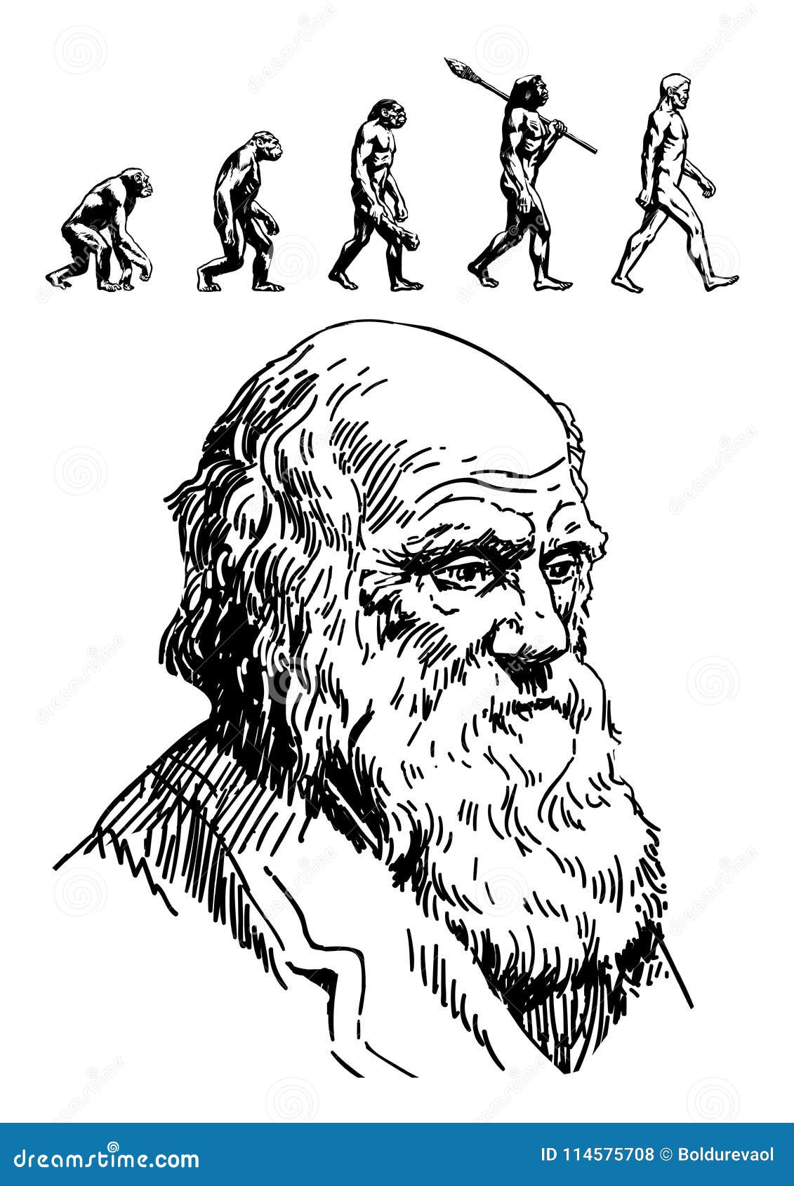 Charles Darwin Stock Illustrations – 155 Charles Darwin Stock  Illustrations, Vectors & Clipart - Dreamstime