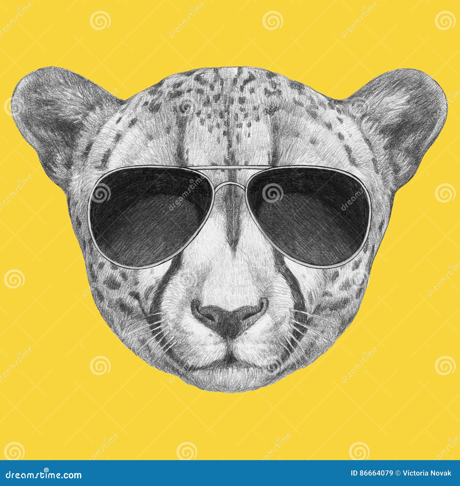 Portrait of Cheetah with Sunglasses. Stock Illustration - Illustration ...