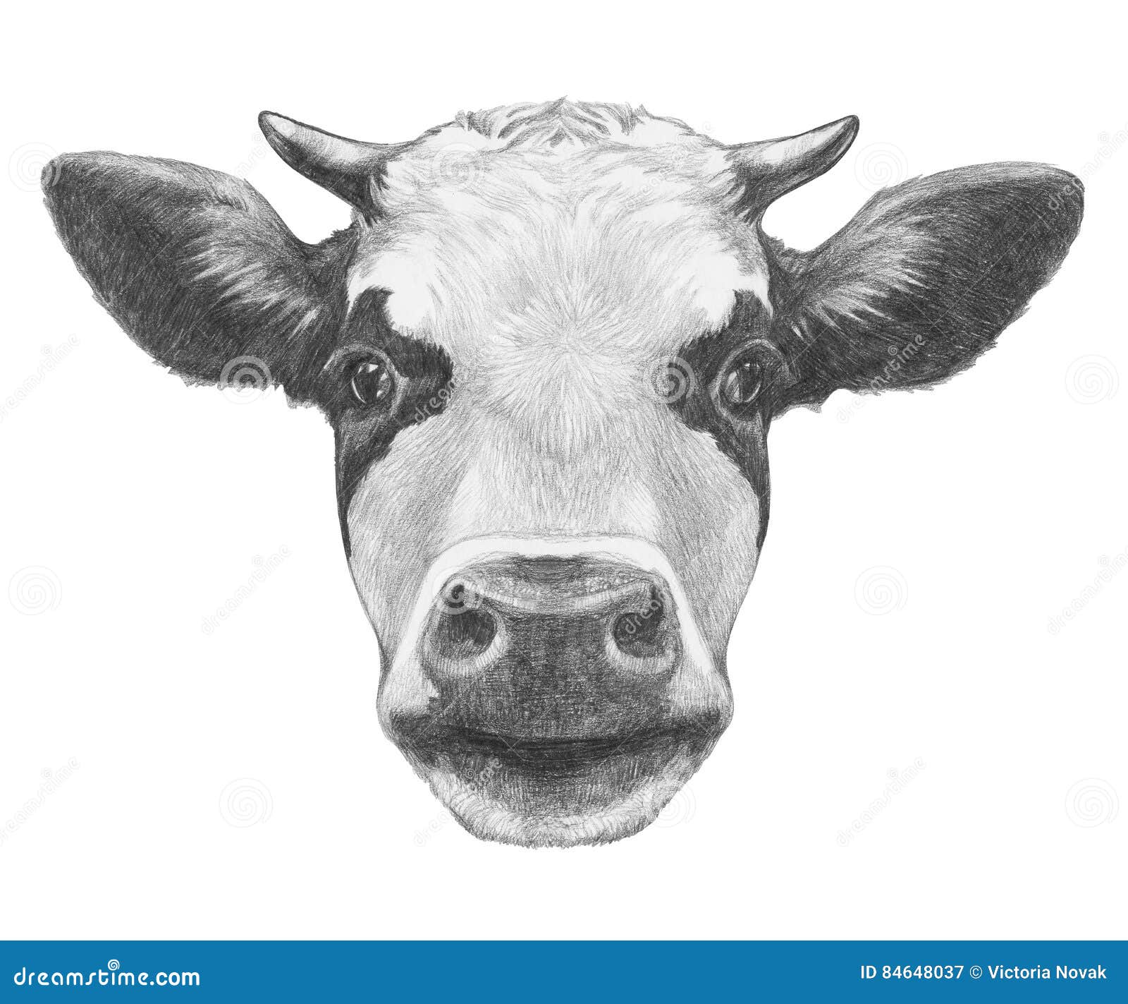 Pencil drawing of three cows Drawing by Mike Jory  Fine Art America