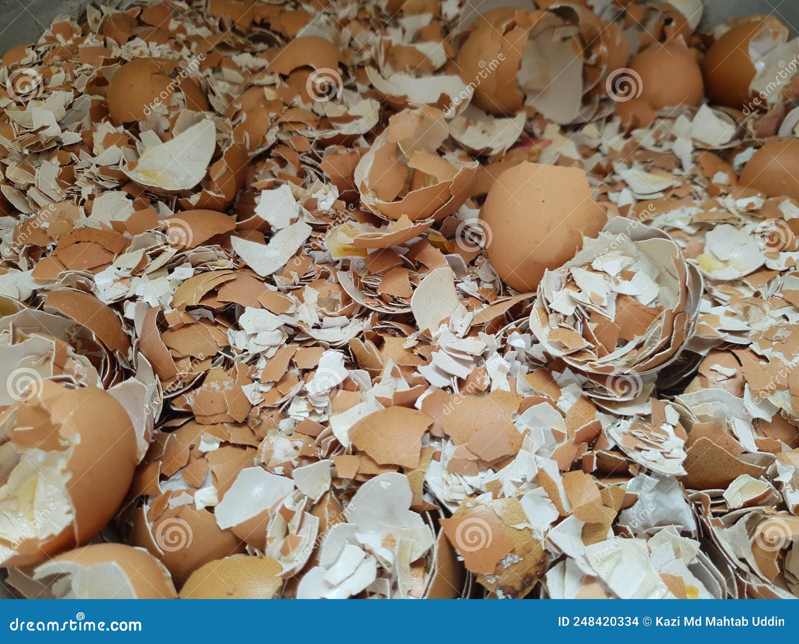 Portrait of Crushed Egg Shell Stock Photo Image of cuisine, break
