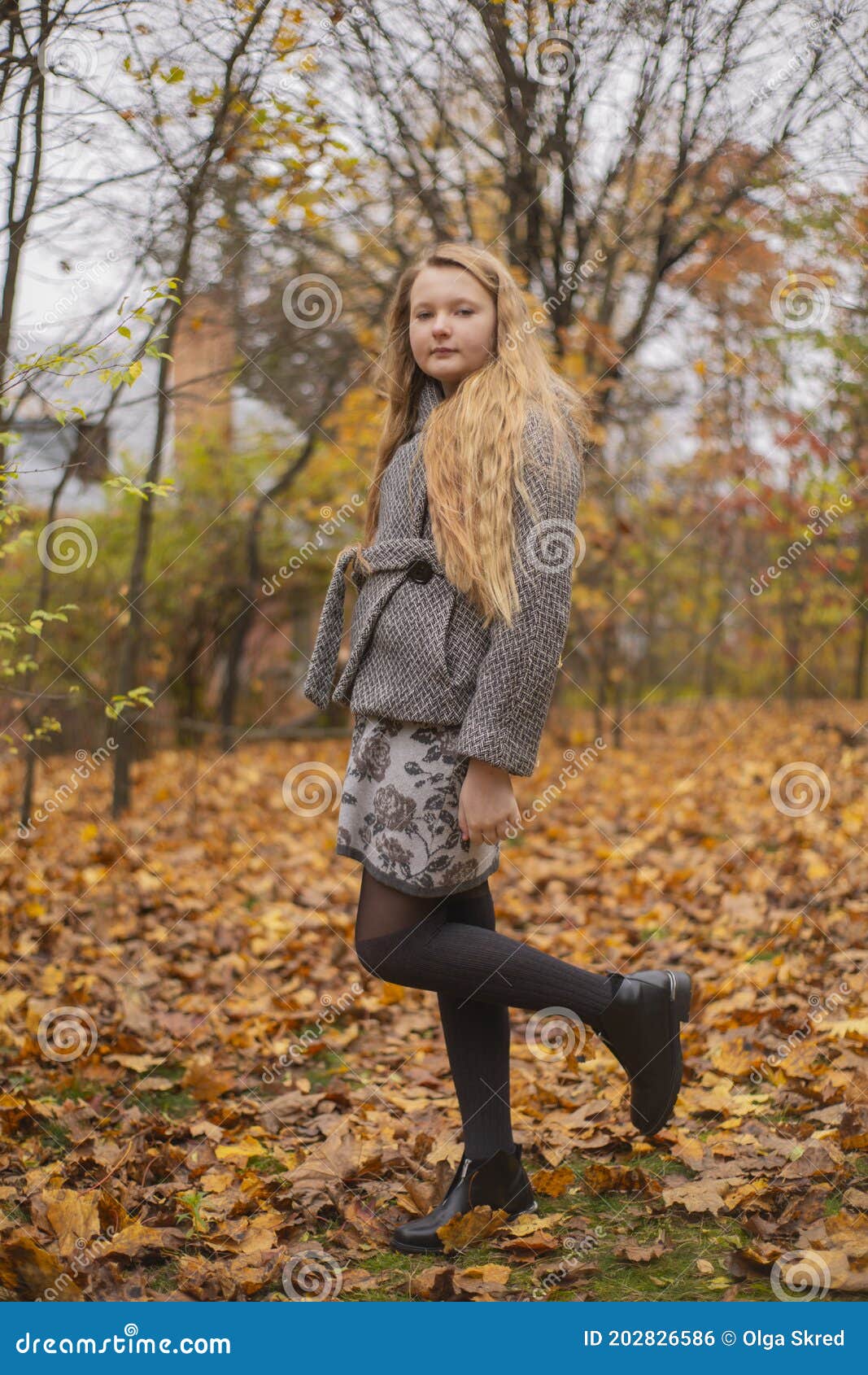 Portrait of Cute Brunette Teen Girl in Gray Coat in the Autumly Forest ...