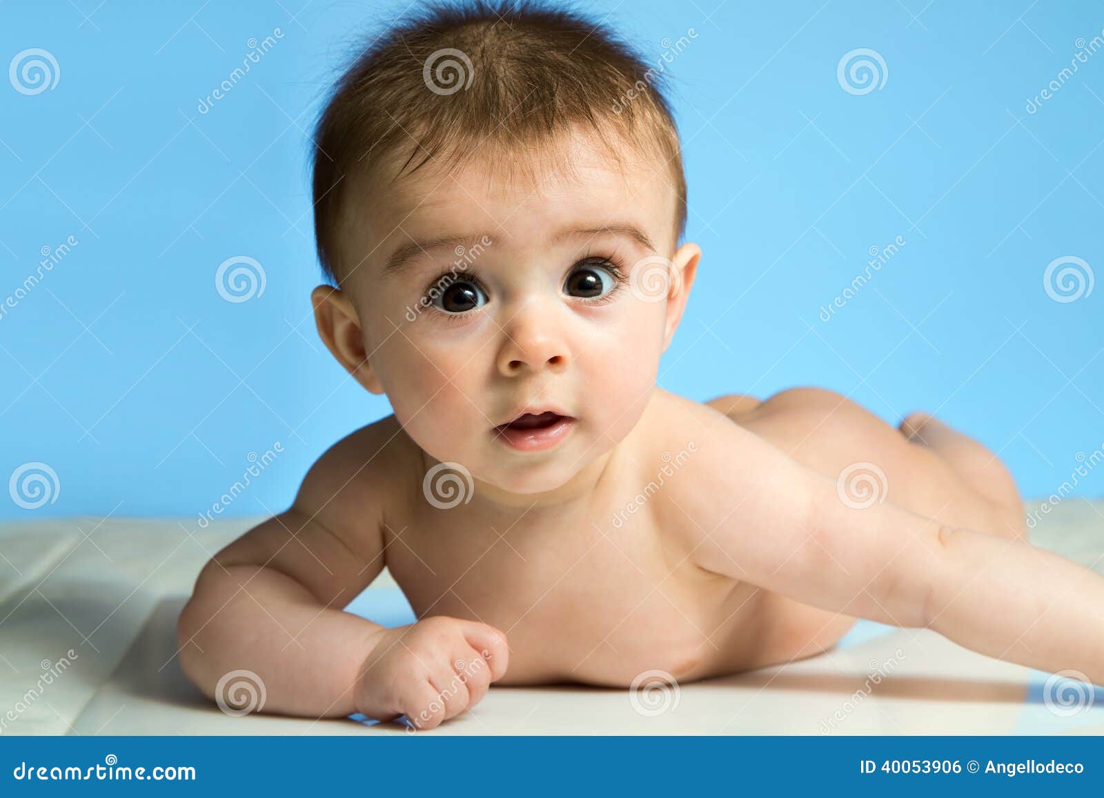 Portrait of a Cute Five Months Old Baby Stock Photo Image of clean