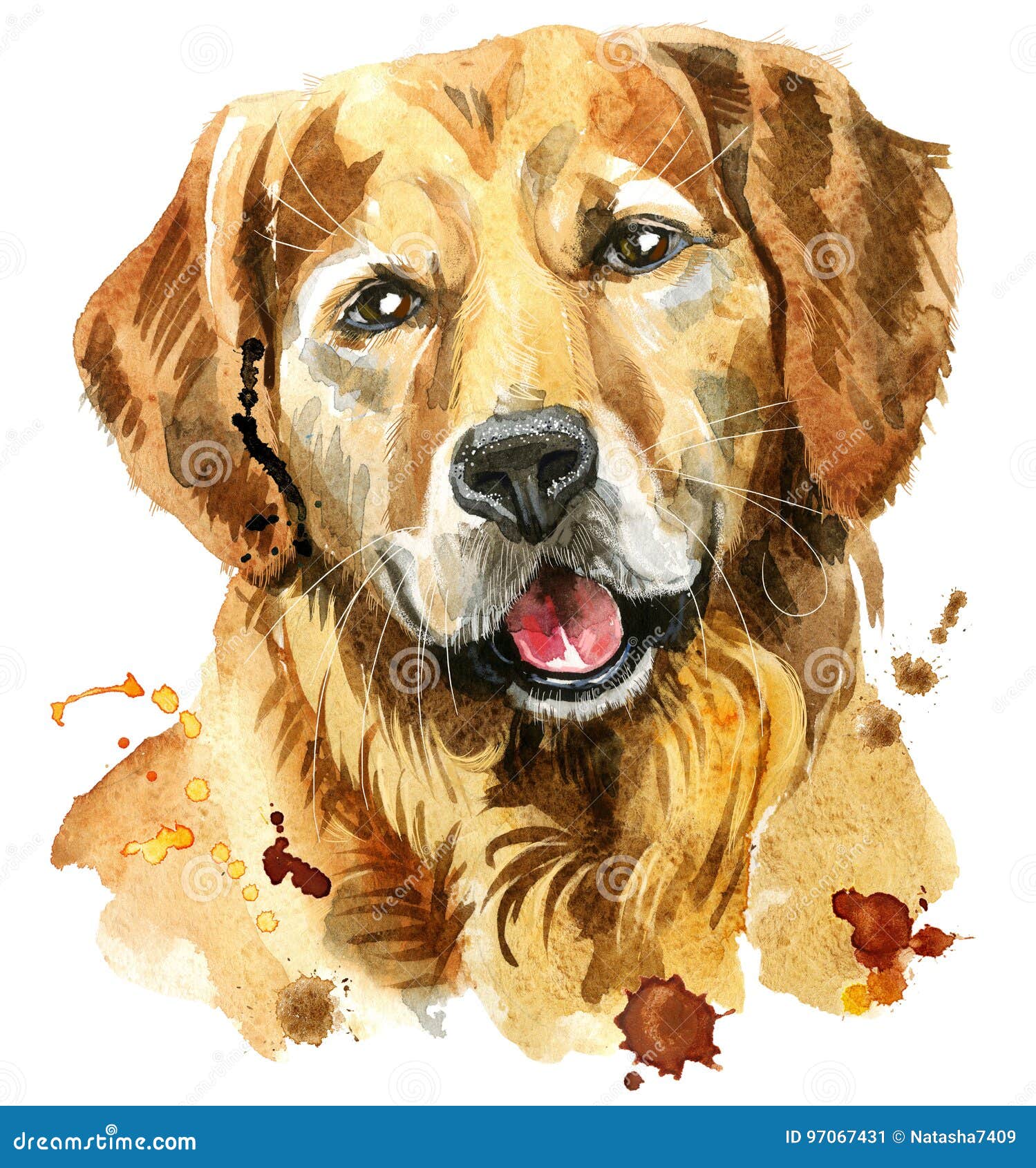 Portrait Daquarelle De Golden Retriever Illustration Stock