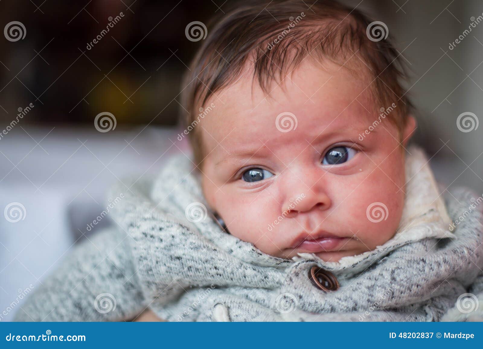 Portrait D Un Petit Bebe D Yeux Bleus De Metis Image Stock Image Du Maman Bonheur 4027