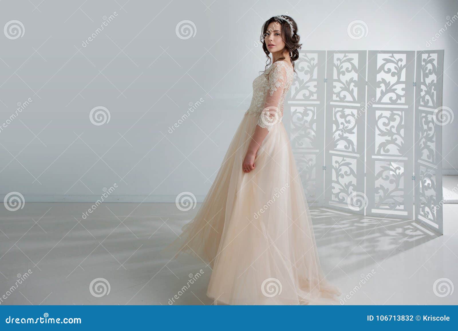 Portrait Dune Belle Fille Dans Une Robe De Mariage Jeune
