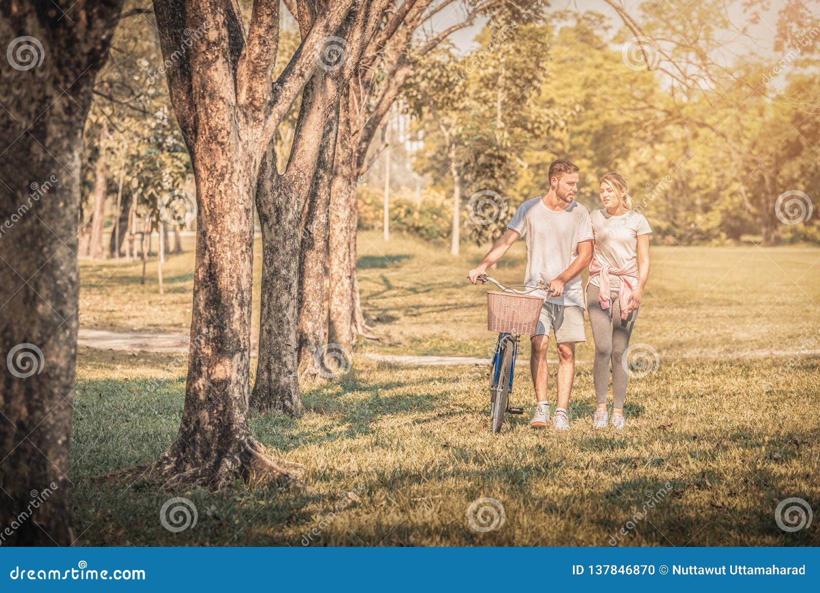 Portrait De Jeunes Couples Appréciant En Parc Au Coucher Du