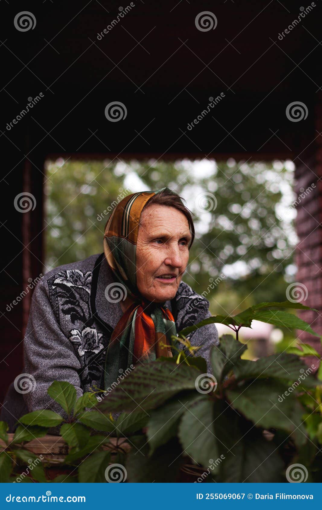 Portrait De L'ancienne Grand-mère Dans Le Verger Des Pommes Image stock -  Image du visage, nature: 255069067