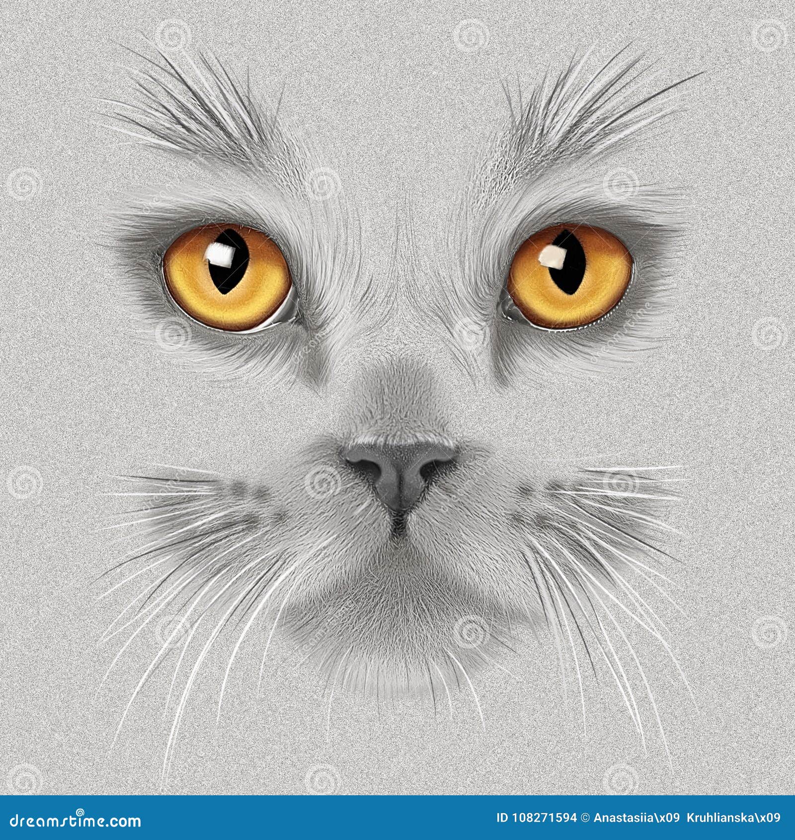 Portrait De Main Dessin D Un Chat Britannique Gris Illustration Stock Illustration Du Fond Britannique