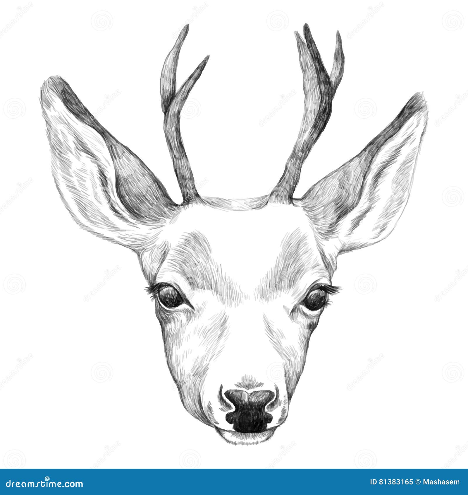 pencil sketches drawings deer sketch | Dream Driven Art