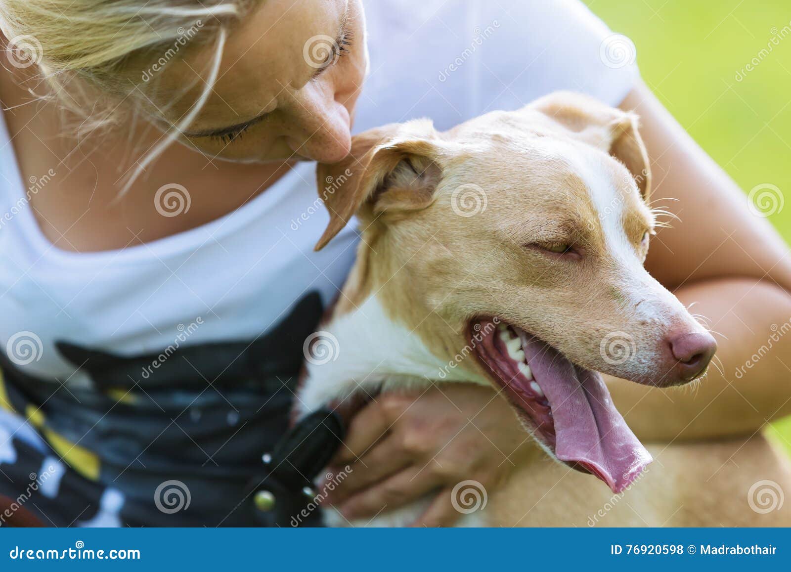 Portrait of a Dog in Arms of Woman Stock Photo - Image of animal ...