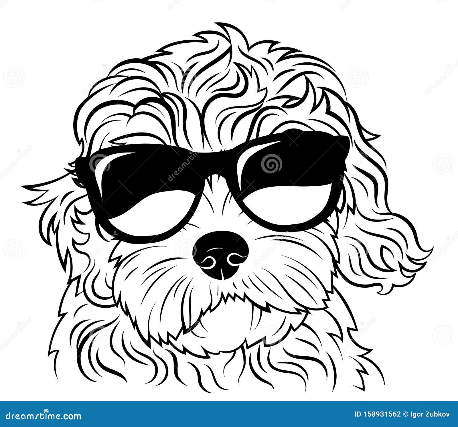 Mini Golden Doodle Coloring Pictures / Mini Golden Doodle Maggie