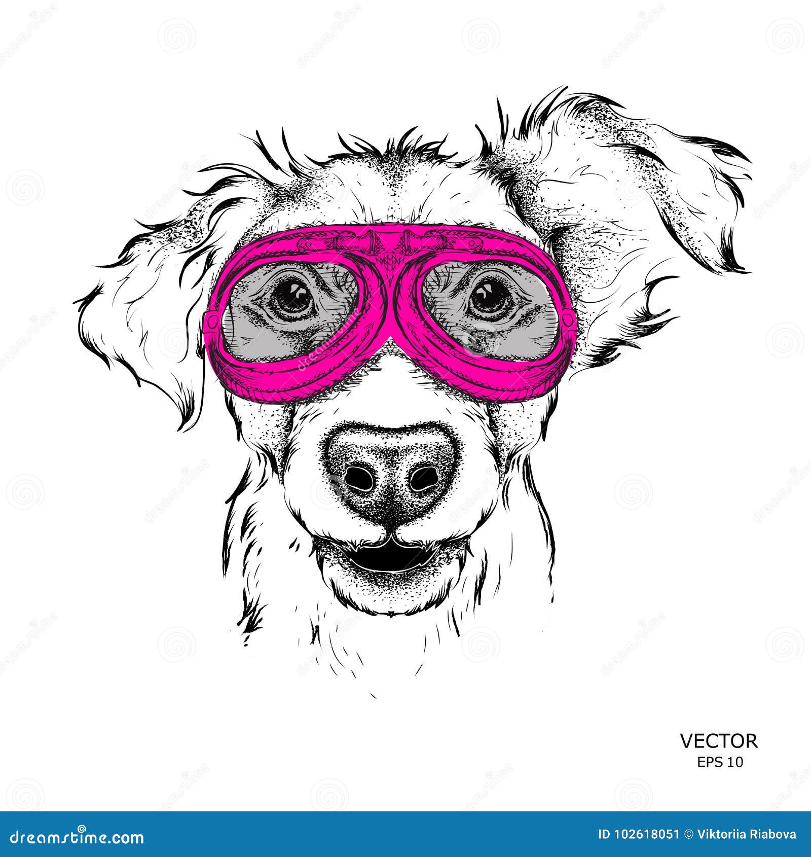 dog motorcycle glasses