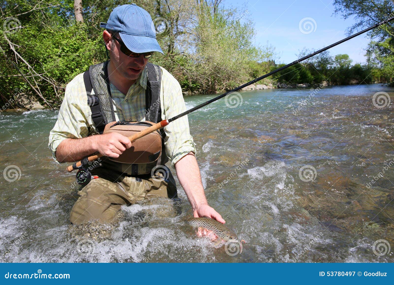 Portrait of Fisherman in River Catching Brown Trout Stock Image Image