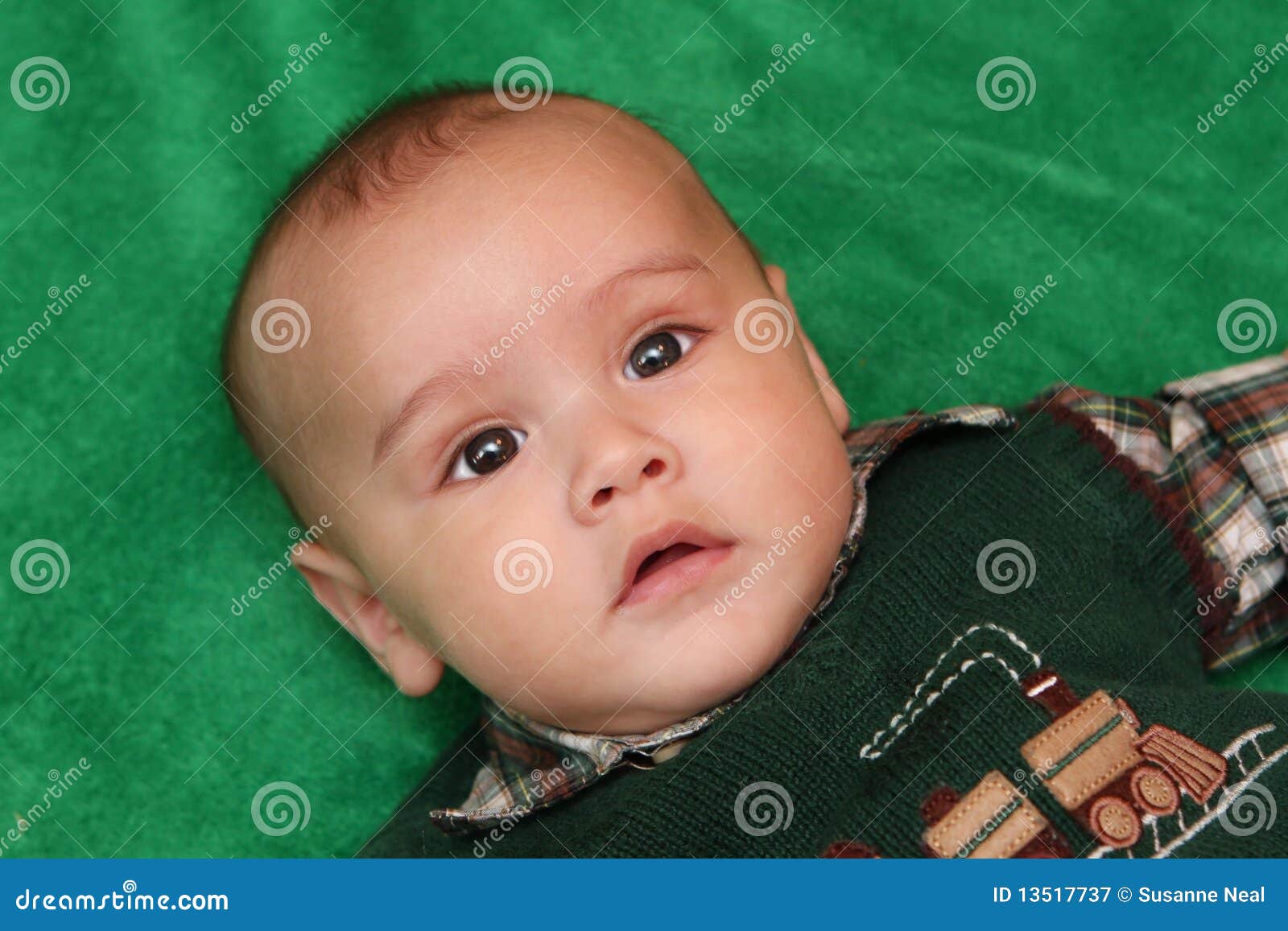 Portrait of Four Month Old Baby Boy Stock Image Image of precious, stretched 13517737