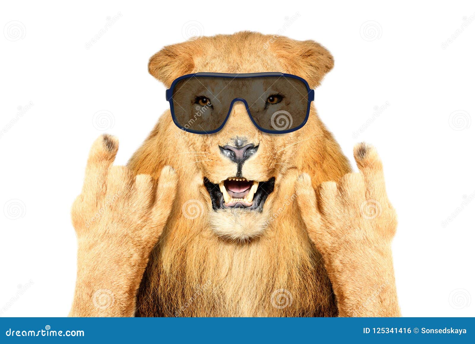 6,751 Funny Lion Stock Photos - Free & Royalty-Free Stock Photos from  Dreamstime