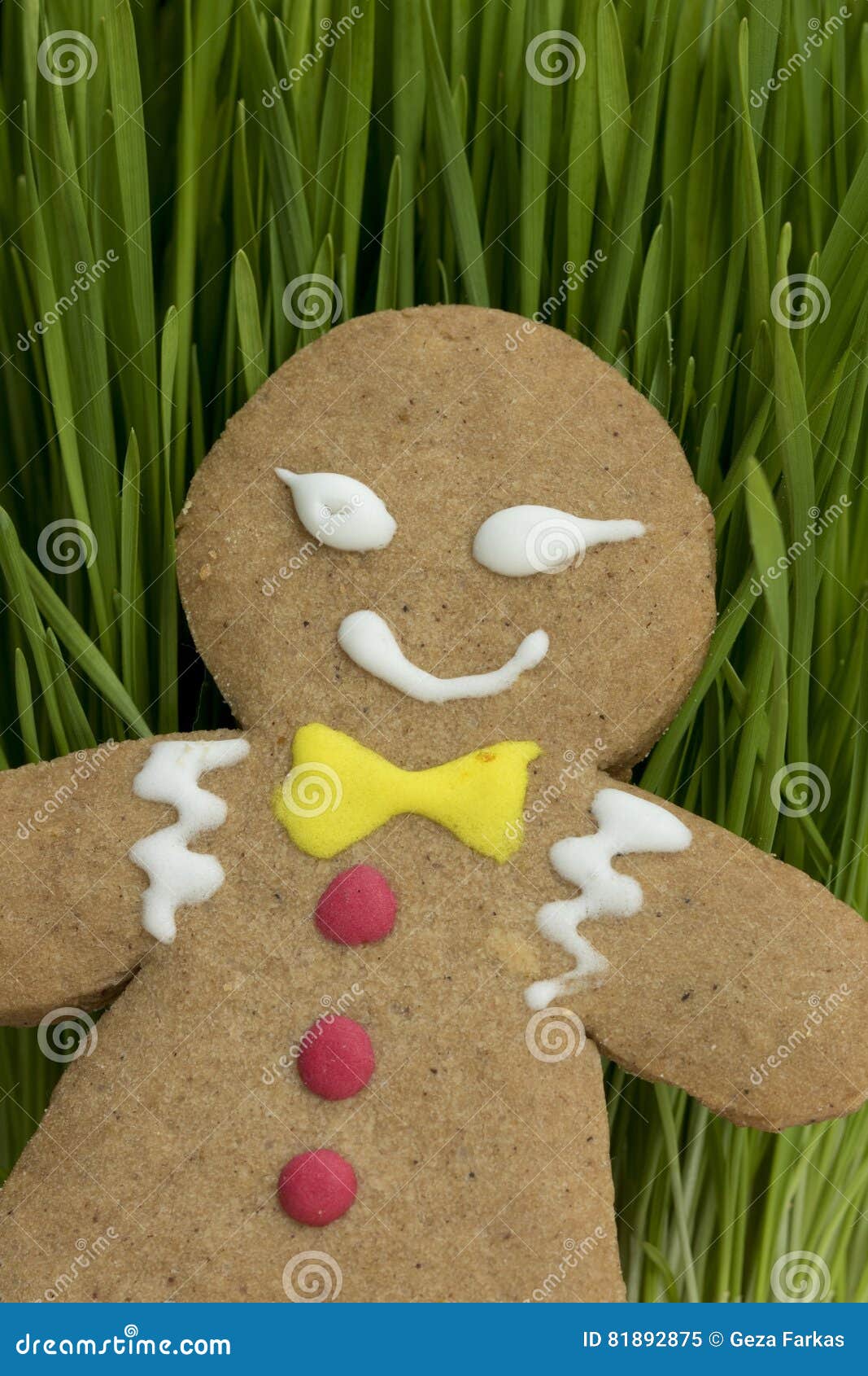 Portrait of Gingerbread Boy Stock Image Image of dessert, funny 81892875
