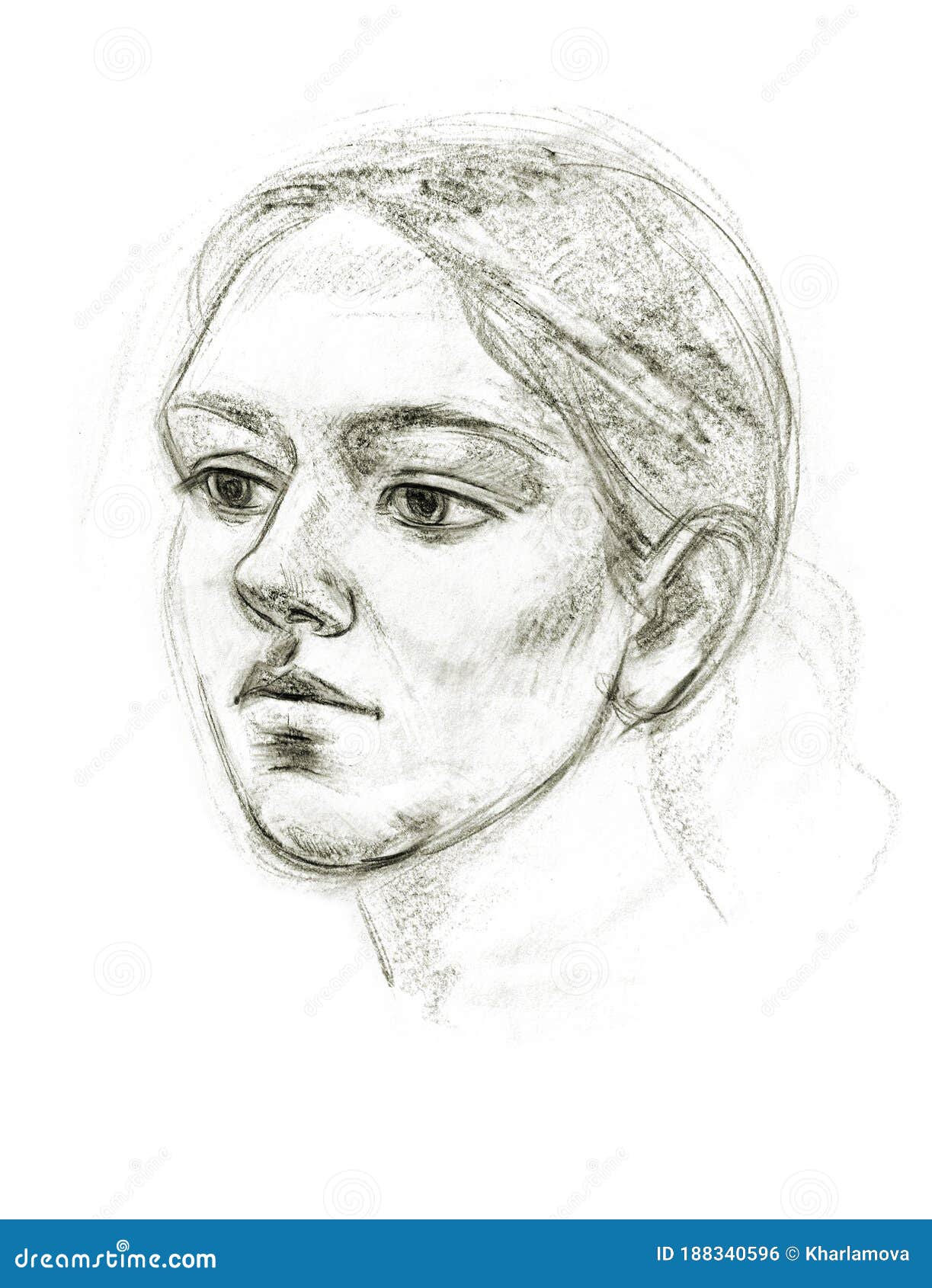 https://thumbs.dreamstime.com/z/portrait-girl-hand-drawing-charcoal-pencil-technique-188340596.jpg