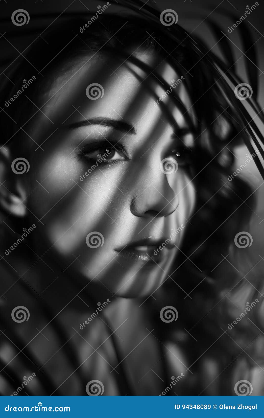 Portrait of Girl with Shadows on