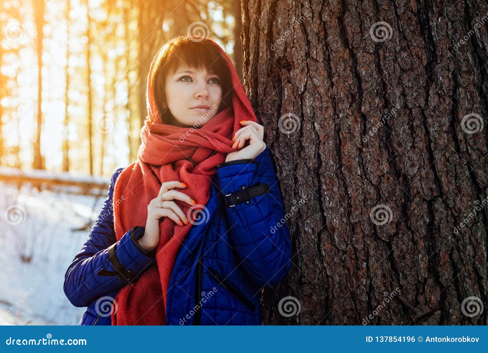 Portrait of a Girl in a Sunny Winter Forest, Which Stands Near a Tree ...