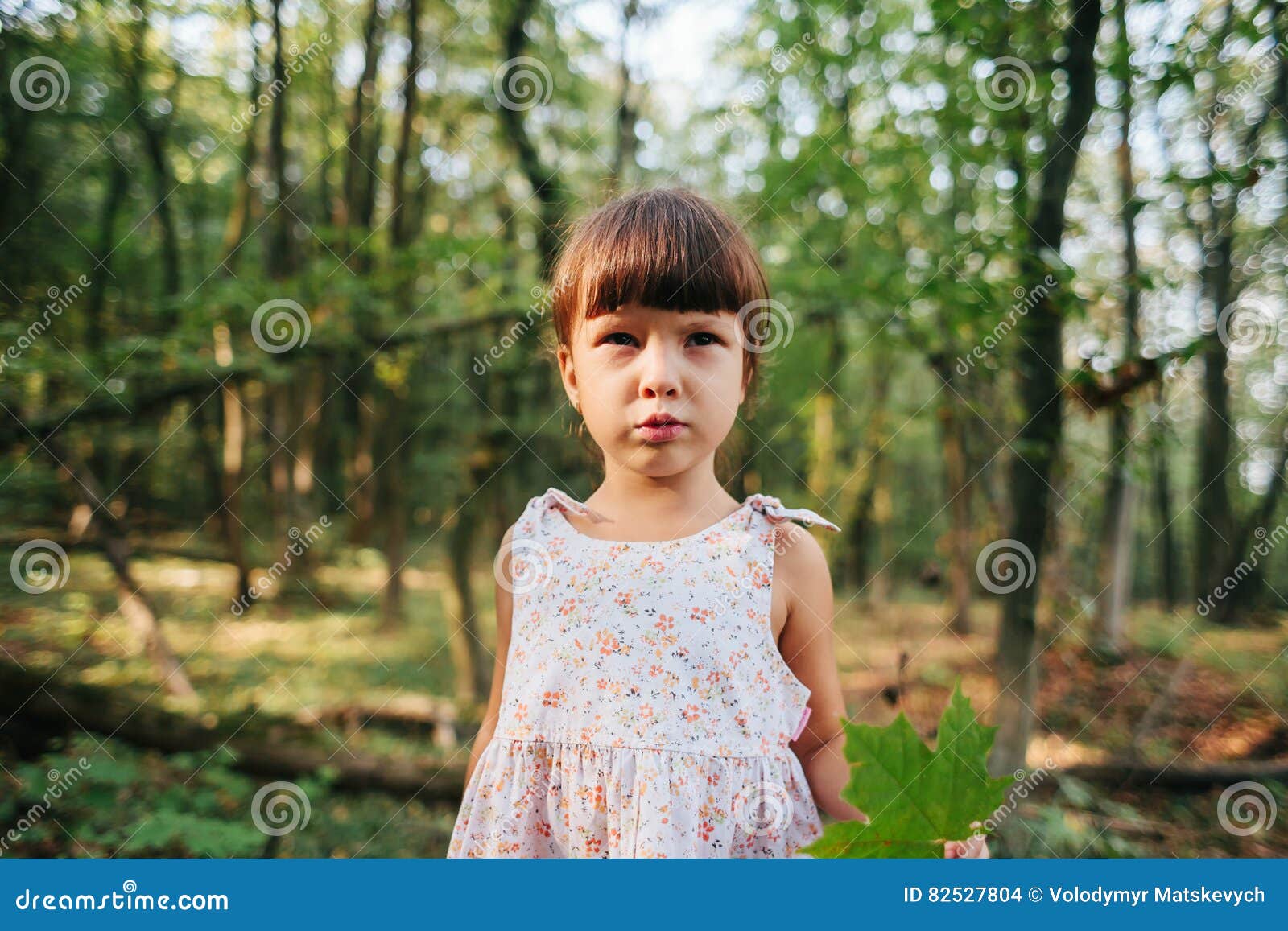 Portrait of a Girl in the Woods Stock Photo Image of life, feel 82527804