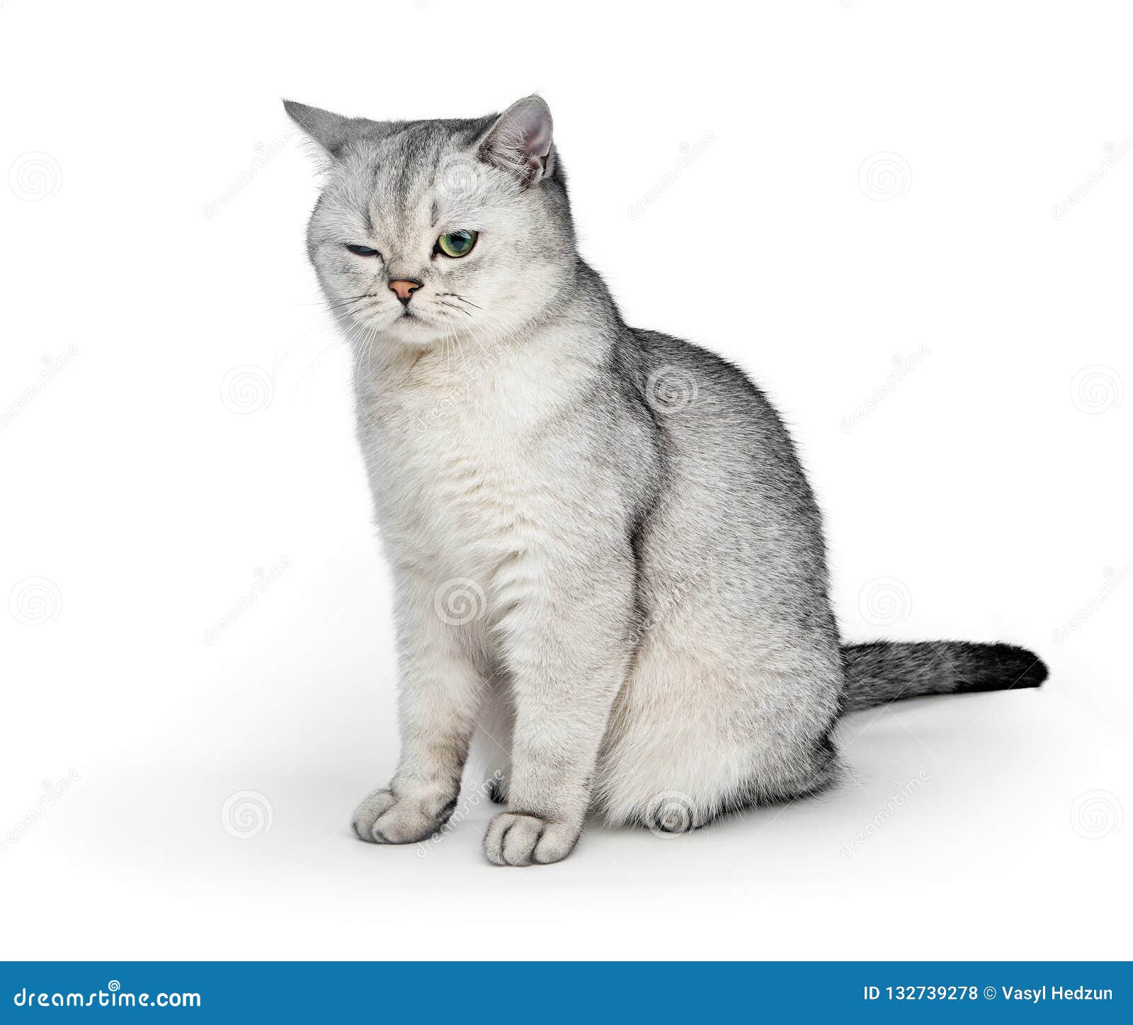My Image 15