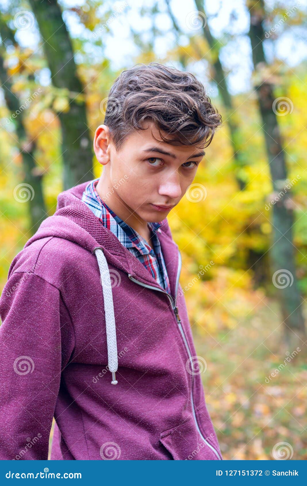 Portrait of a Handsome Teenage Boy in an Autumn Forest Stock Photo ...