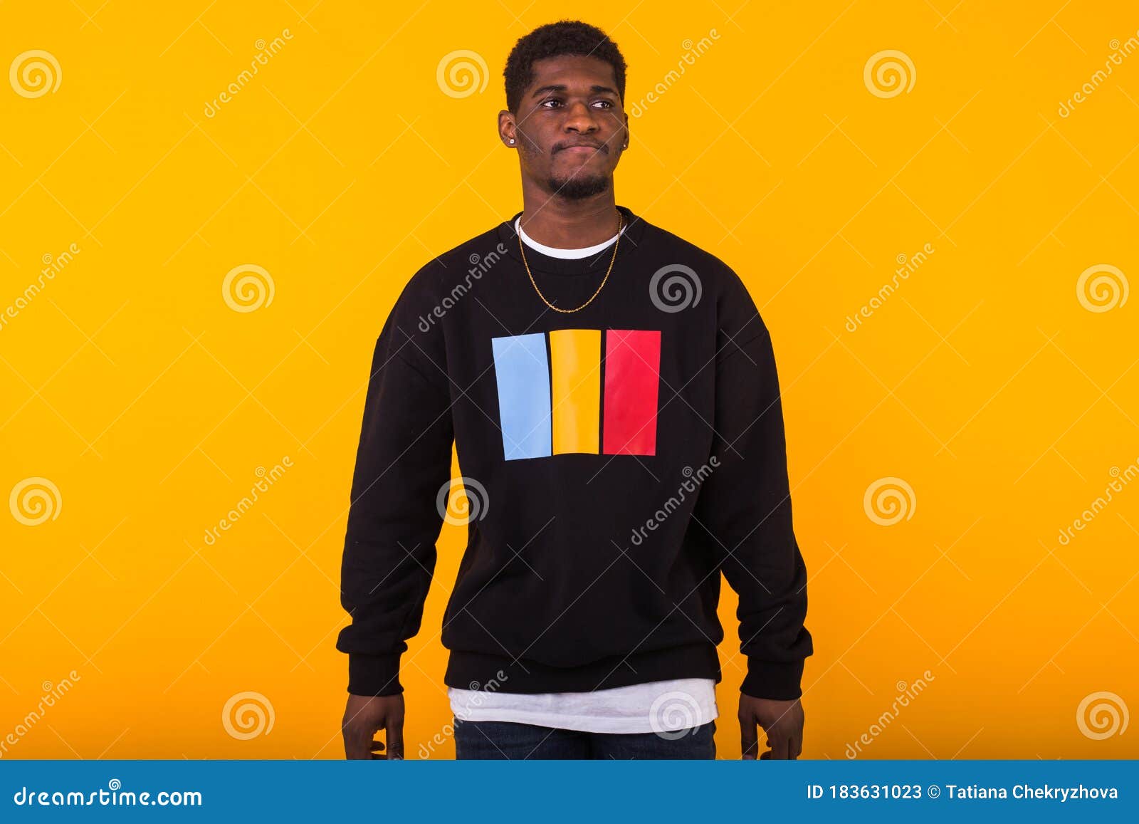 Portrait Handsome Young Black Man Dressed in Jeans and Sweatshirt on ...