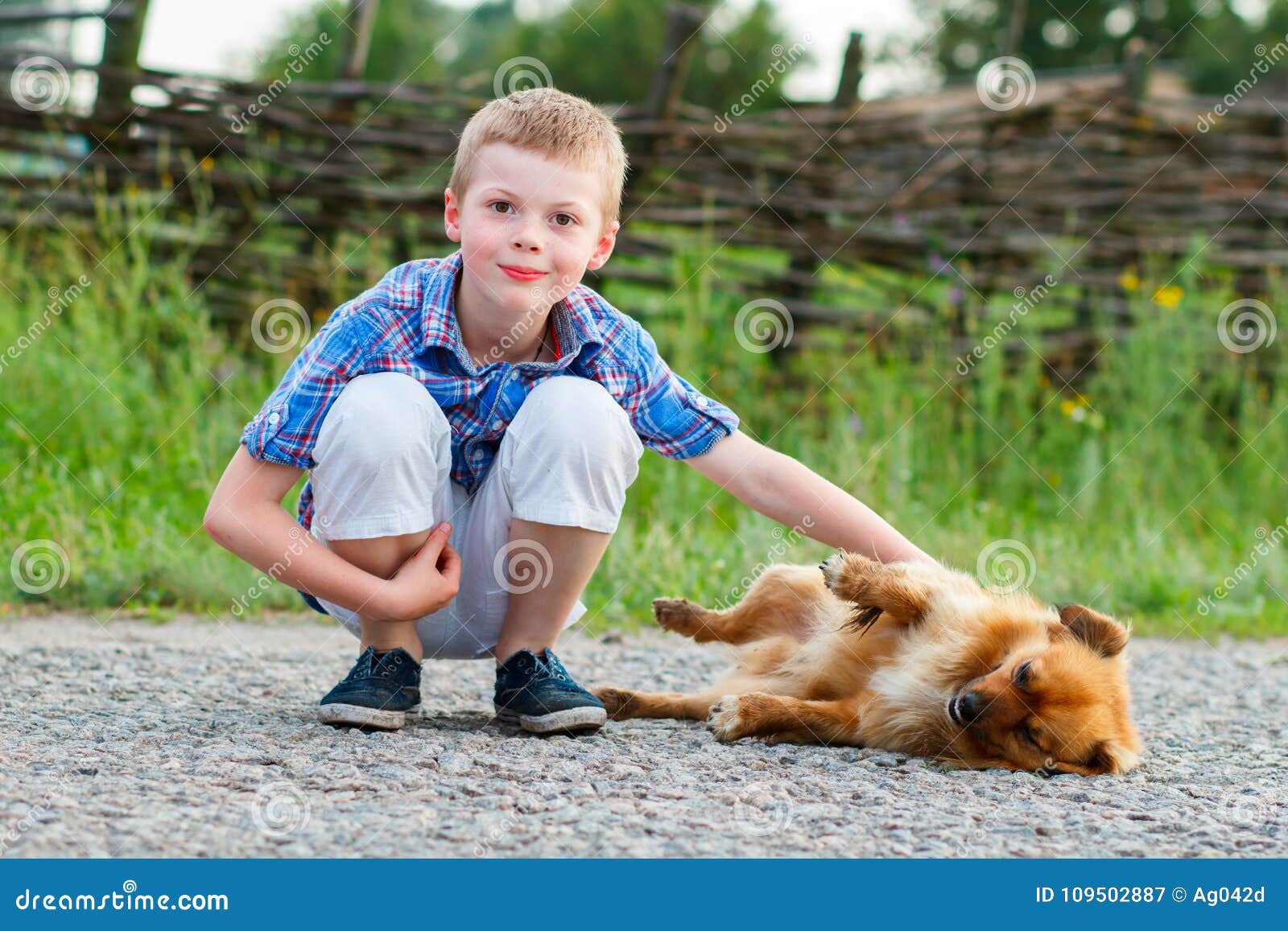 Portrait of Happy Boy with Dog, Dog Lying on Asphalt Road Stock Image ...