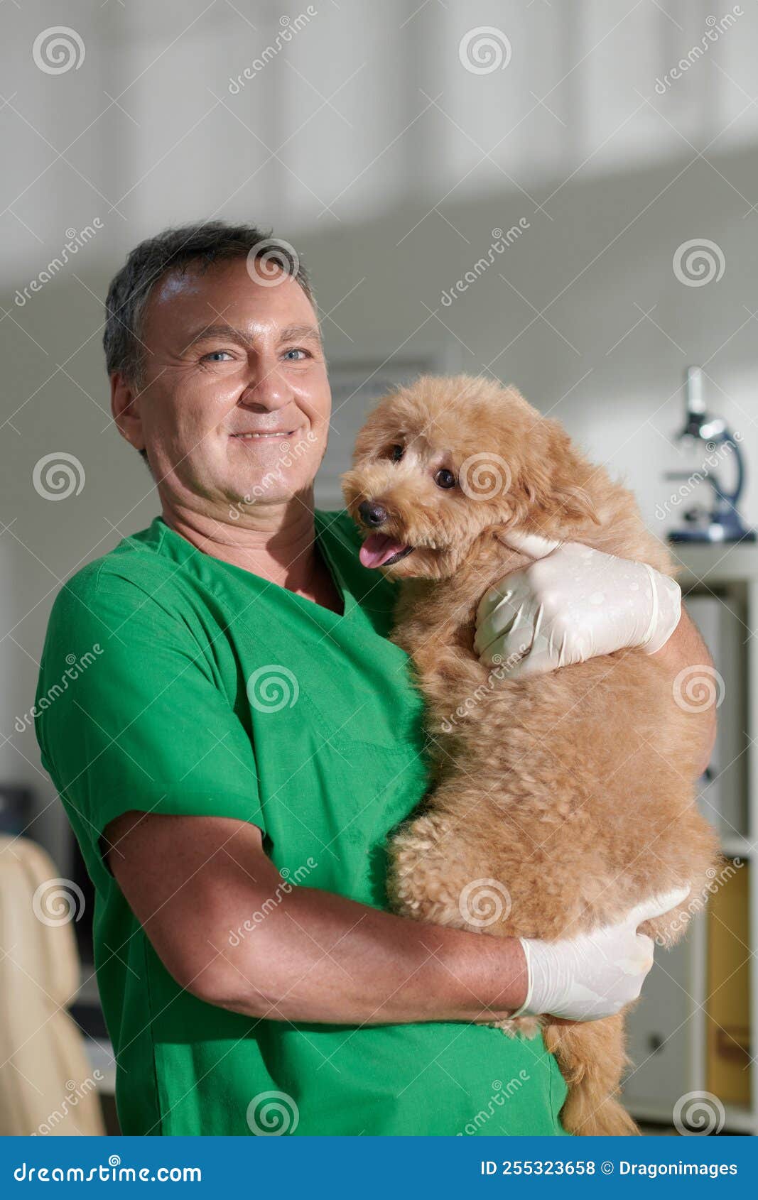 Veterinarian Holding Small Dog Stock Photo Image of nail, cutting
