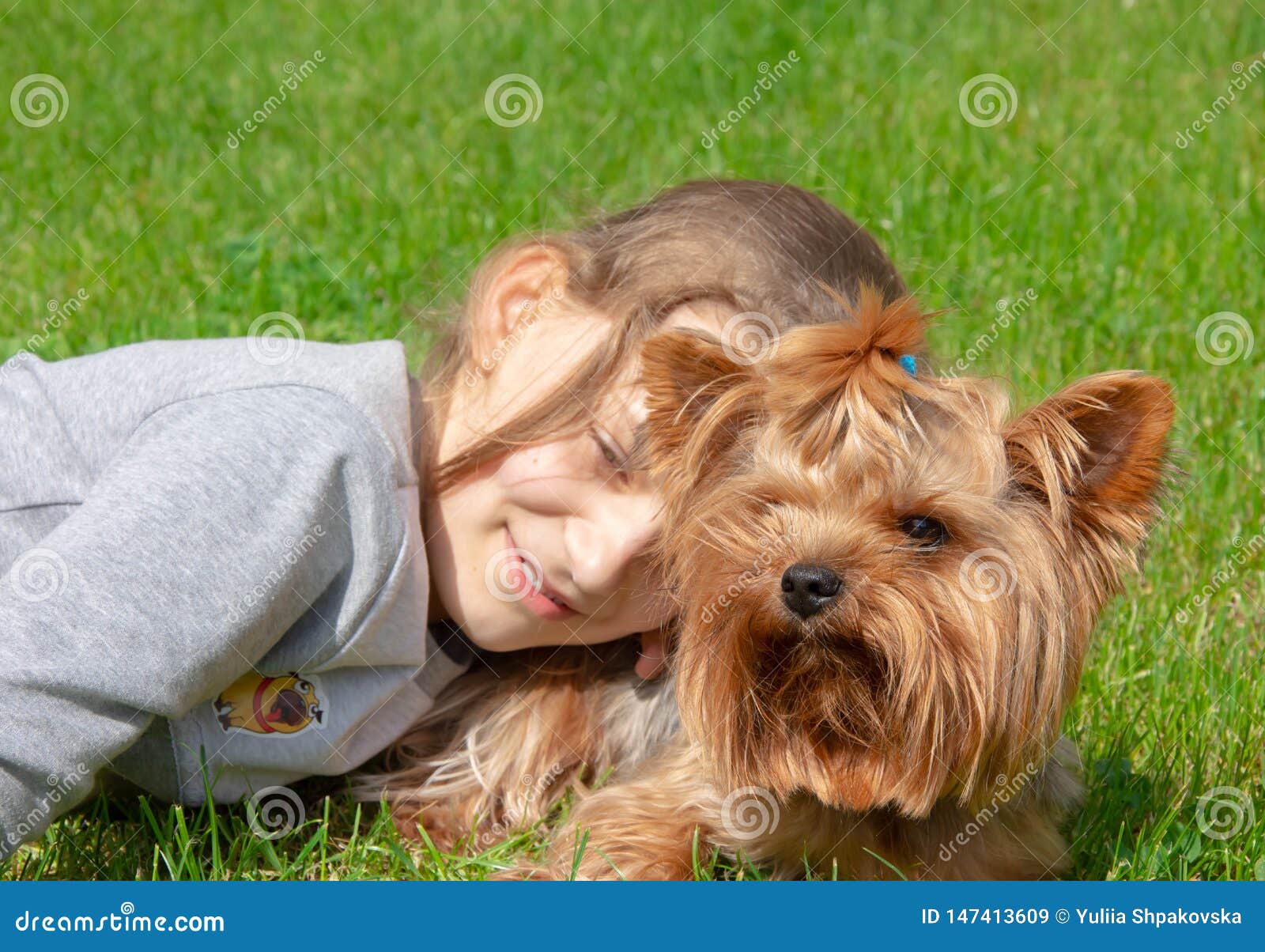 happy yorkie