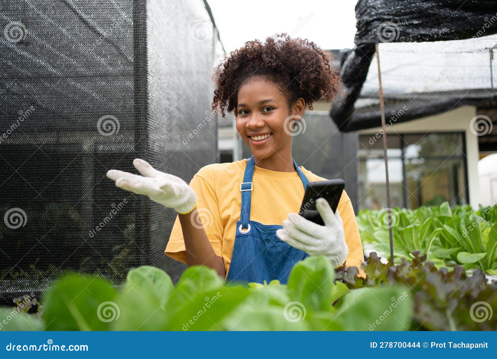 portrait of happy half-thai half african woman farmer standing behind a vegetable plot and using smartphone for check order.