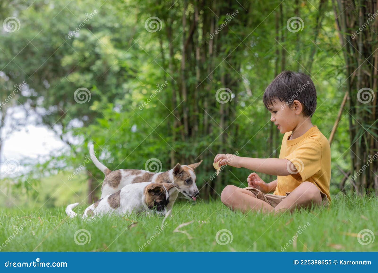 6. Happy little boy with blonde hair and his pet dog - wide 6
