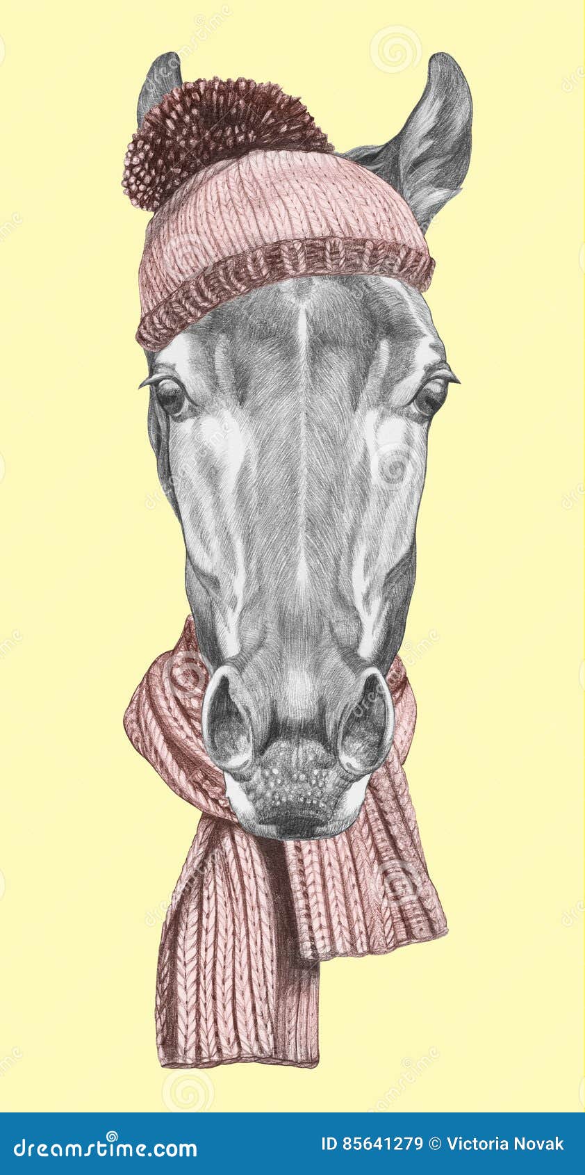 Portrait of Horse with Hat and Scarf. Stock Illustration Illustration of domestic, modern