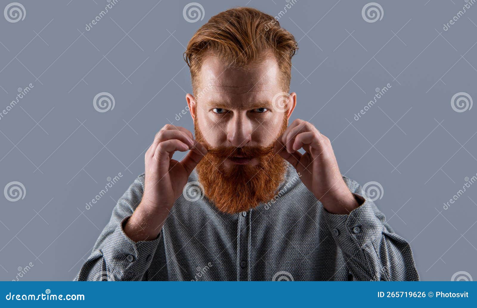 Portrait of Irish Man with Beard. Serious Man Twirling Moustache Stock ...