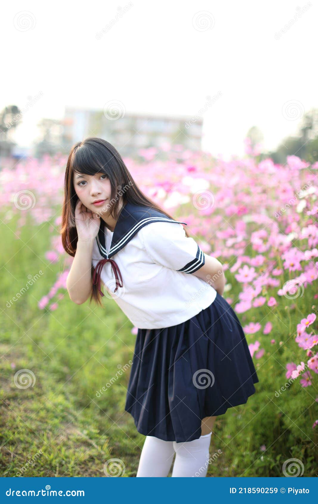 Portrait of Japanese School Girl Uniform Cosmos Flower Stock Image - Image of dress, outdoor: 218590259