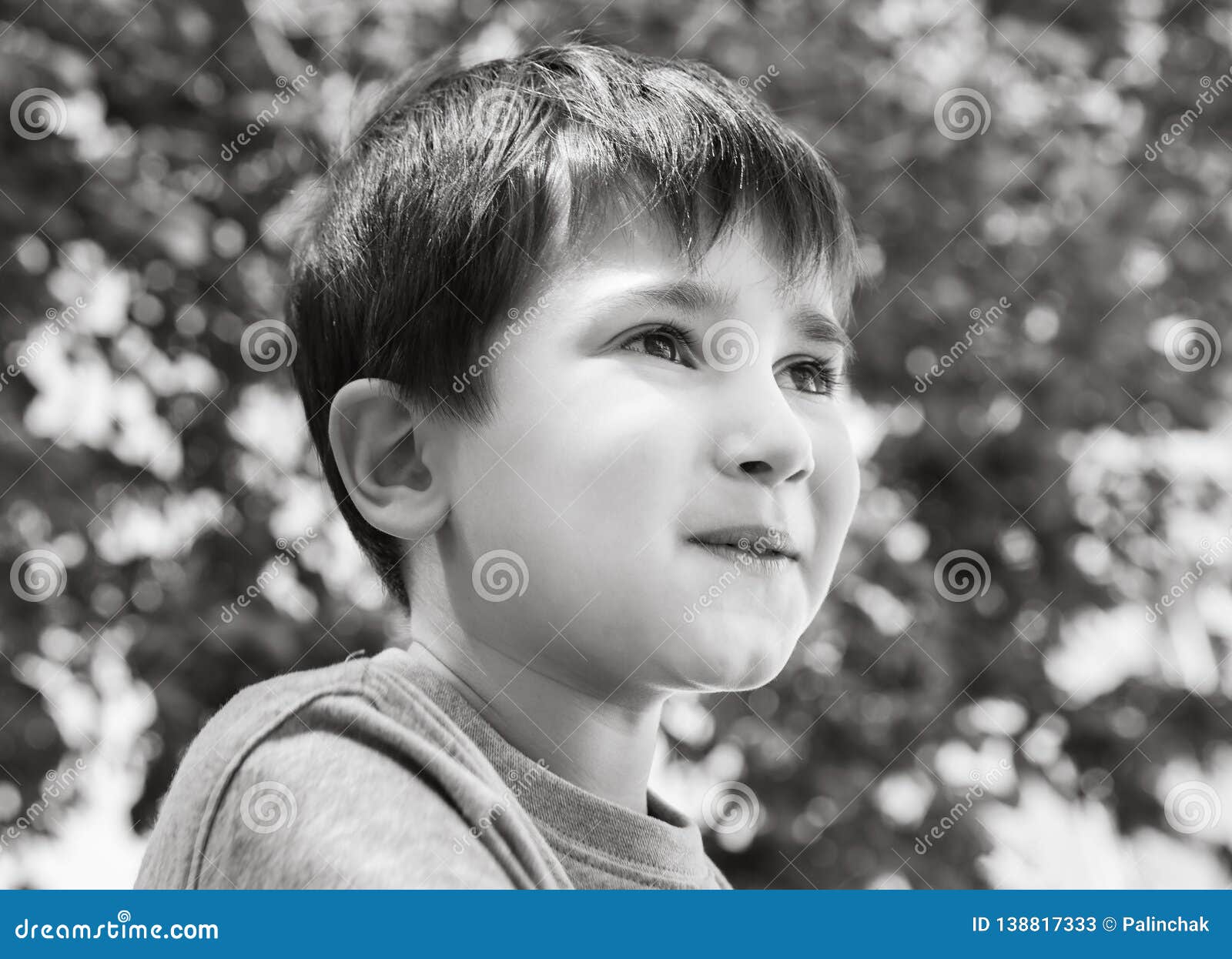 Portrait of a little boy stock image. Image of eyes - 138817333