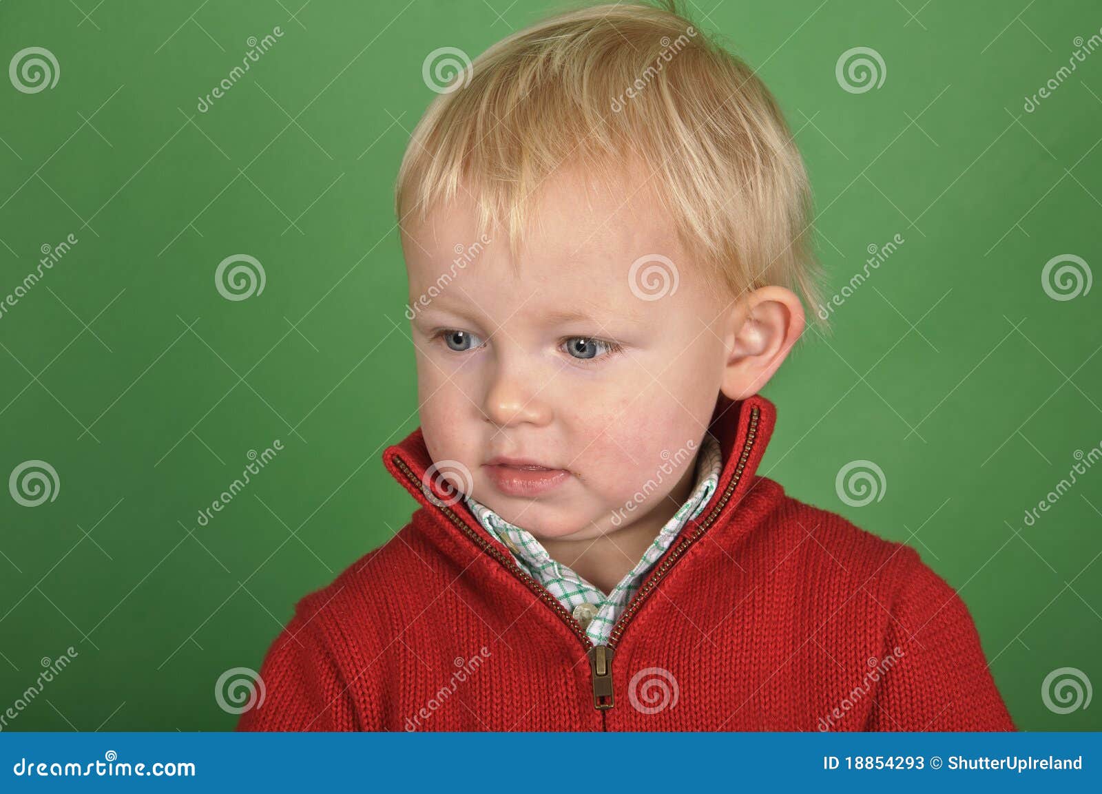 Portrait of a Little Boy on a Green Screen Stock Image Image of funny
