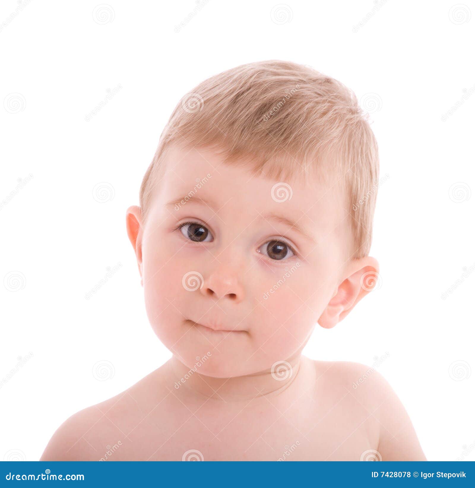 Portrait of Little Boy Isolated on White Stock Photo Image of joyful