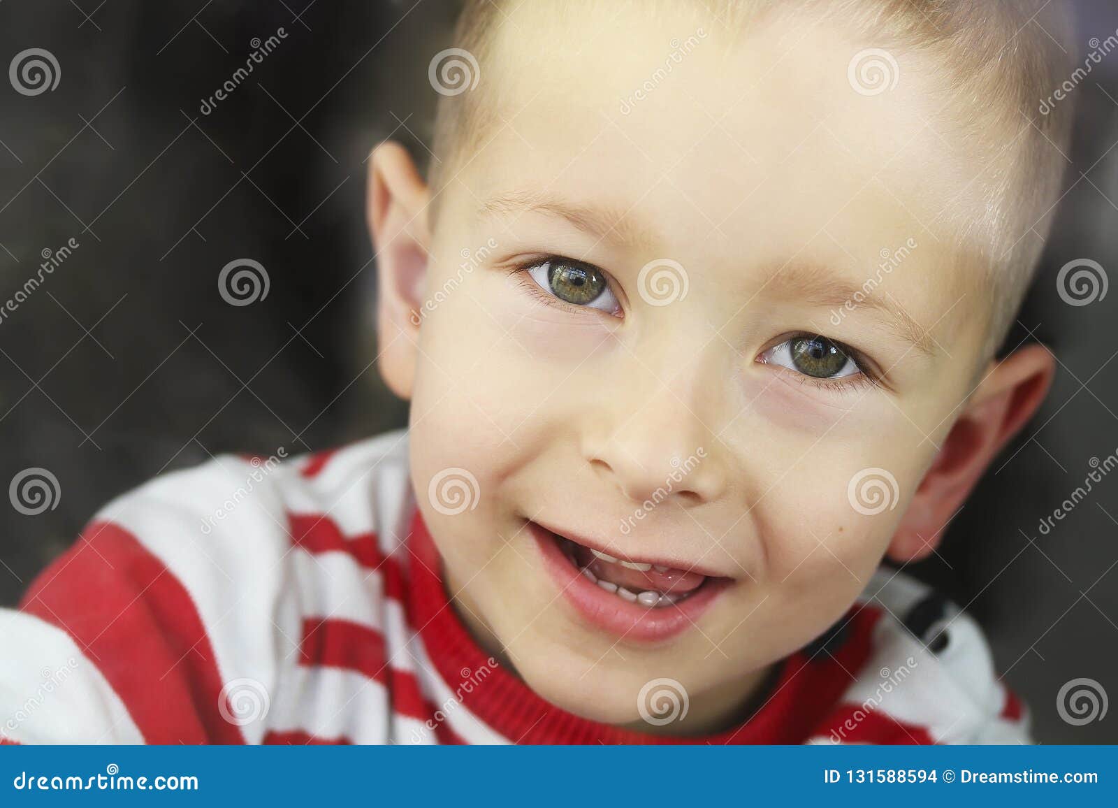 Portrait of Little Boy Smiling Stock Photo Image of childhood, head 131588594