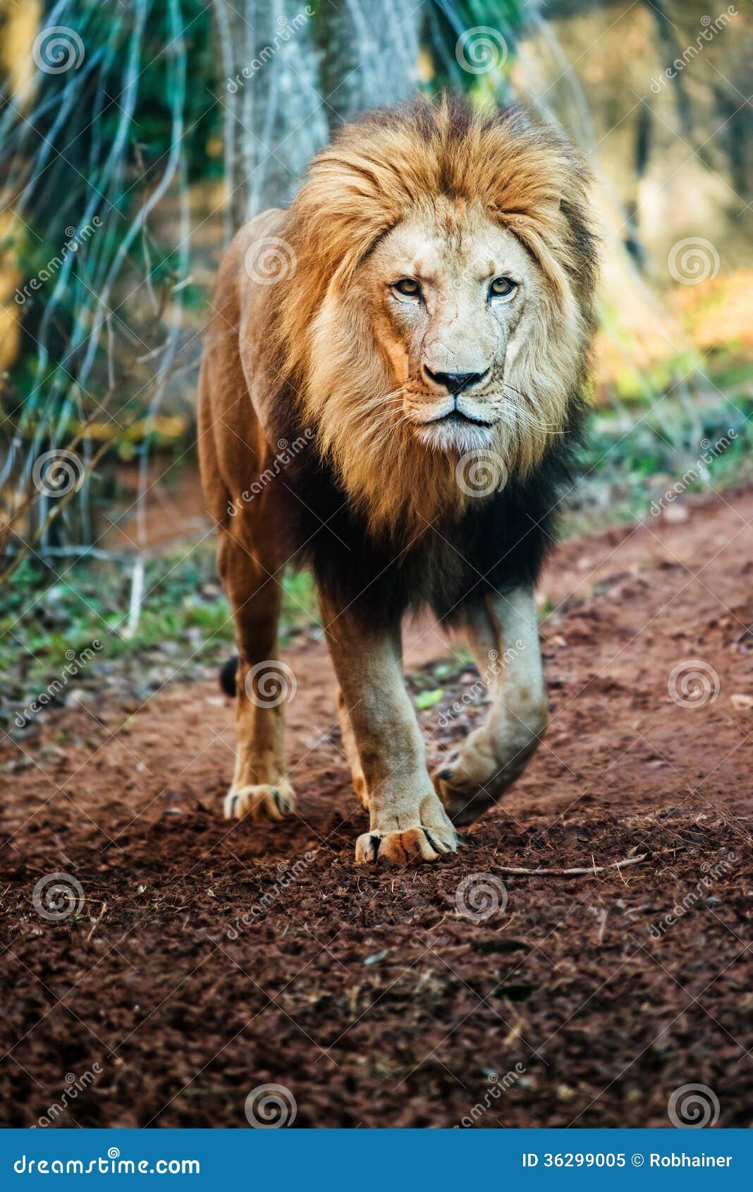 free download utorrent for mac os x lion free download utorrent for mac os x lion