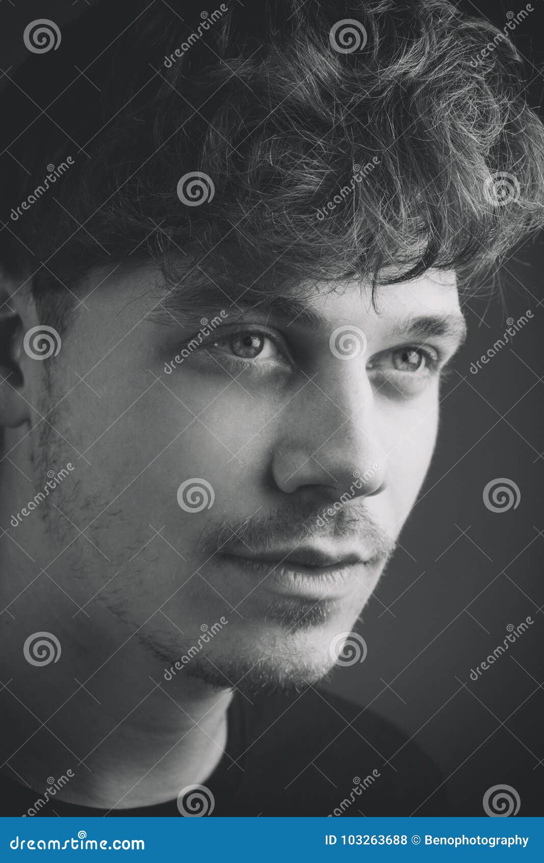Portrait of Man with Curly Hair on Black Background. Male Model Illuminated  Portrait Stock Photo - Image of face, grey: 103263688