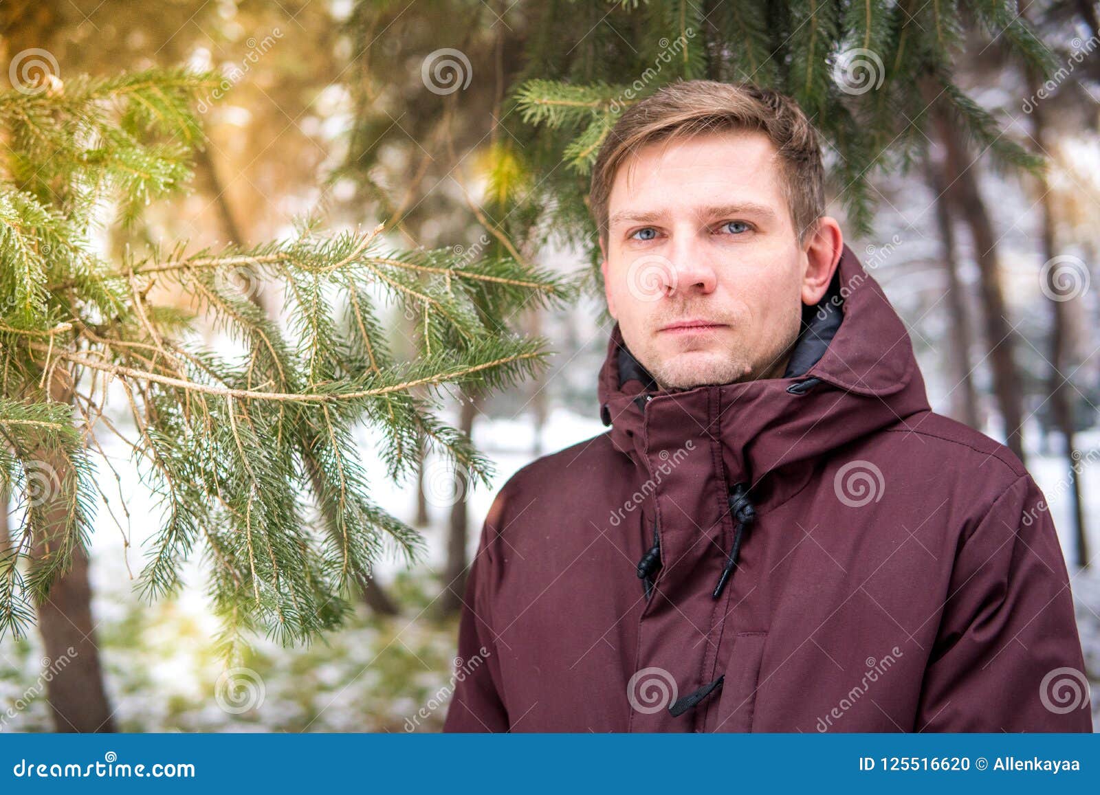 Portrait of a Man in a Winter Forest Near a Spruce Stock Photo - Image ...