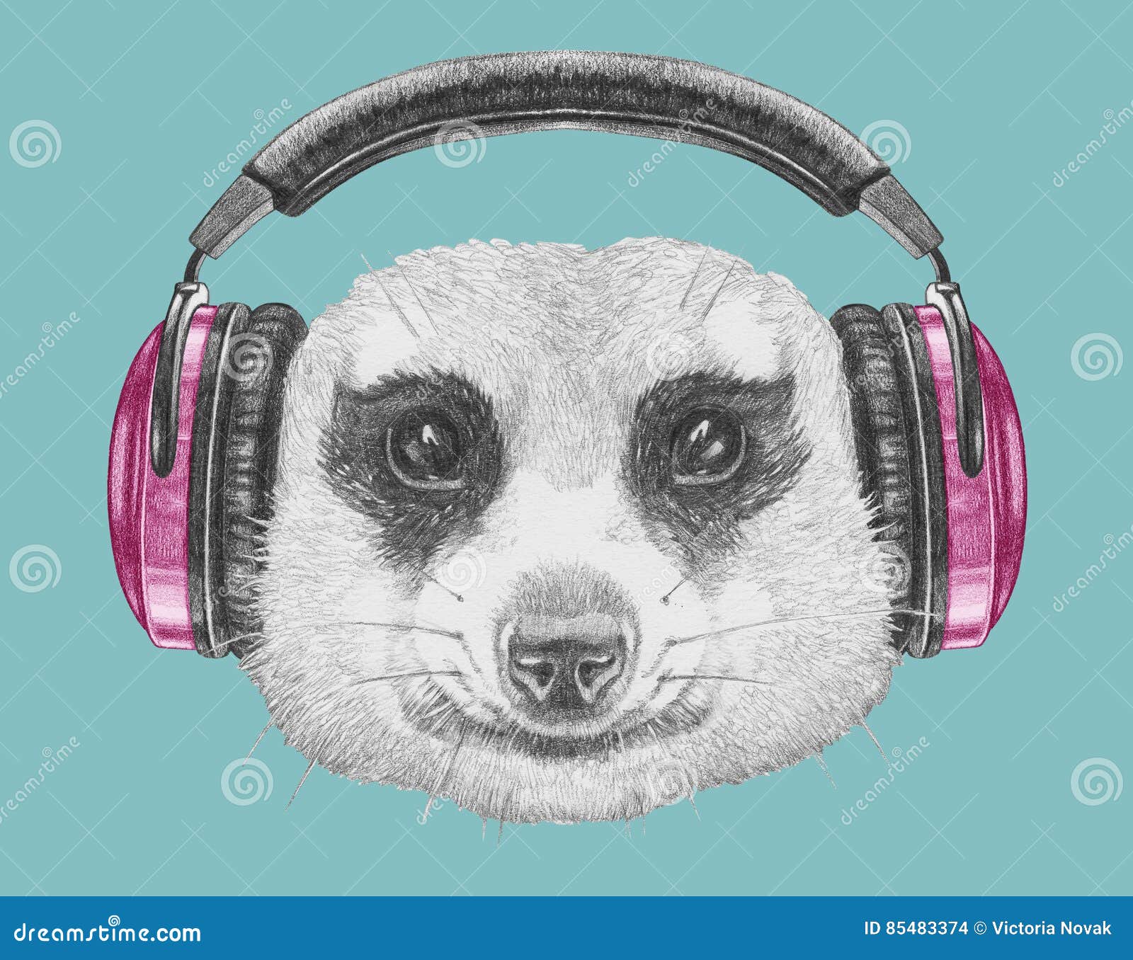 Portrait of Meerkat with Headphones. Stock Illustration - Illustration ...