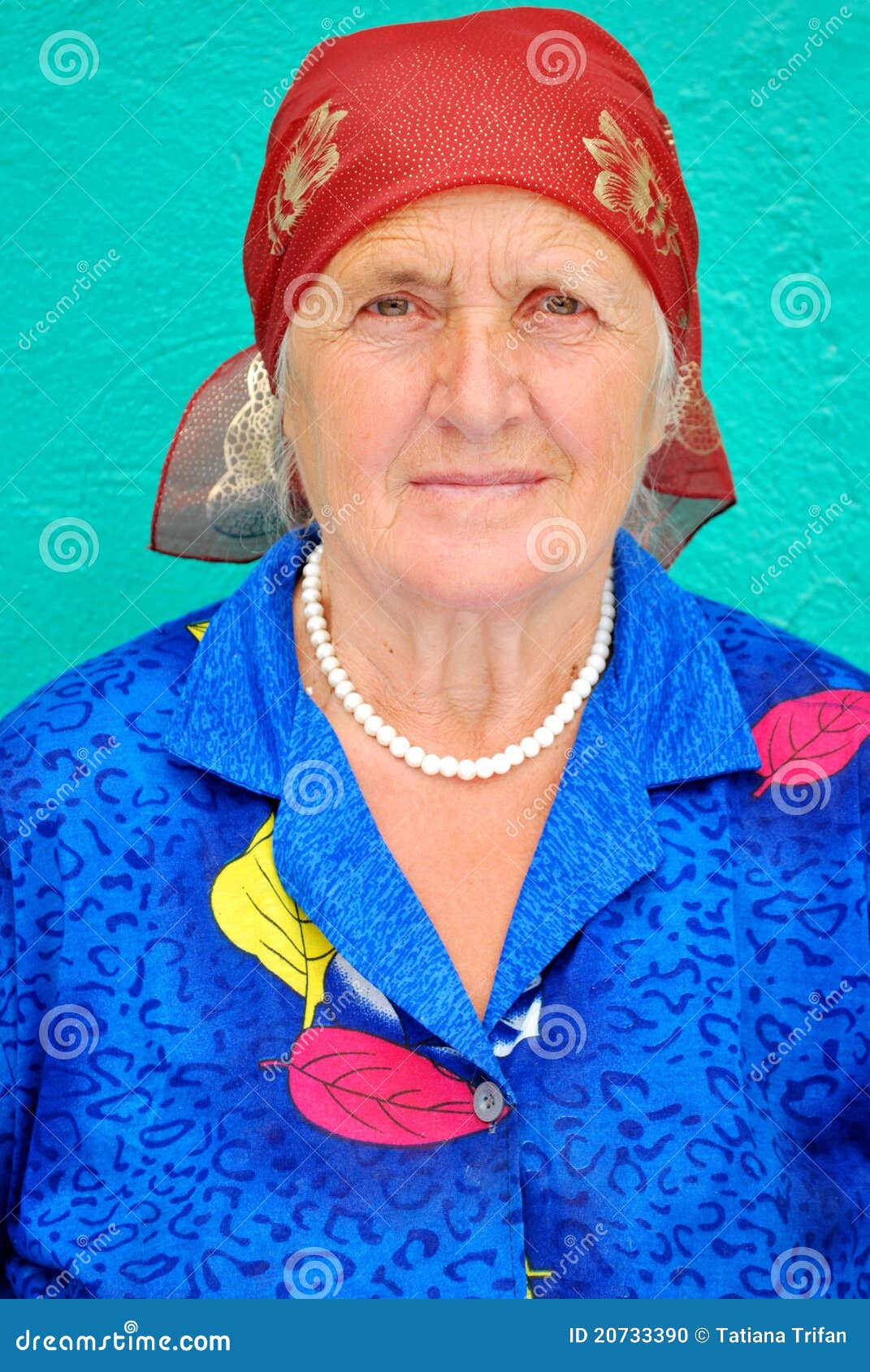 Portrait of an old peasant stock photo. Image of caucasian 20733390
