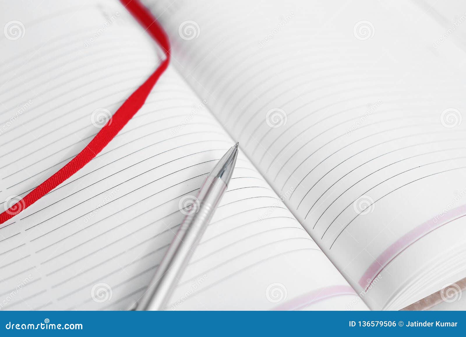 portrait of open diary with pen